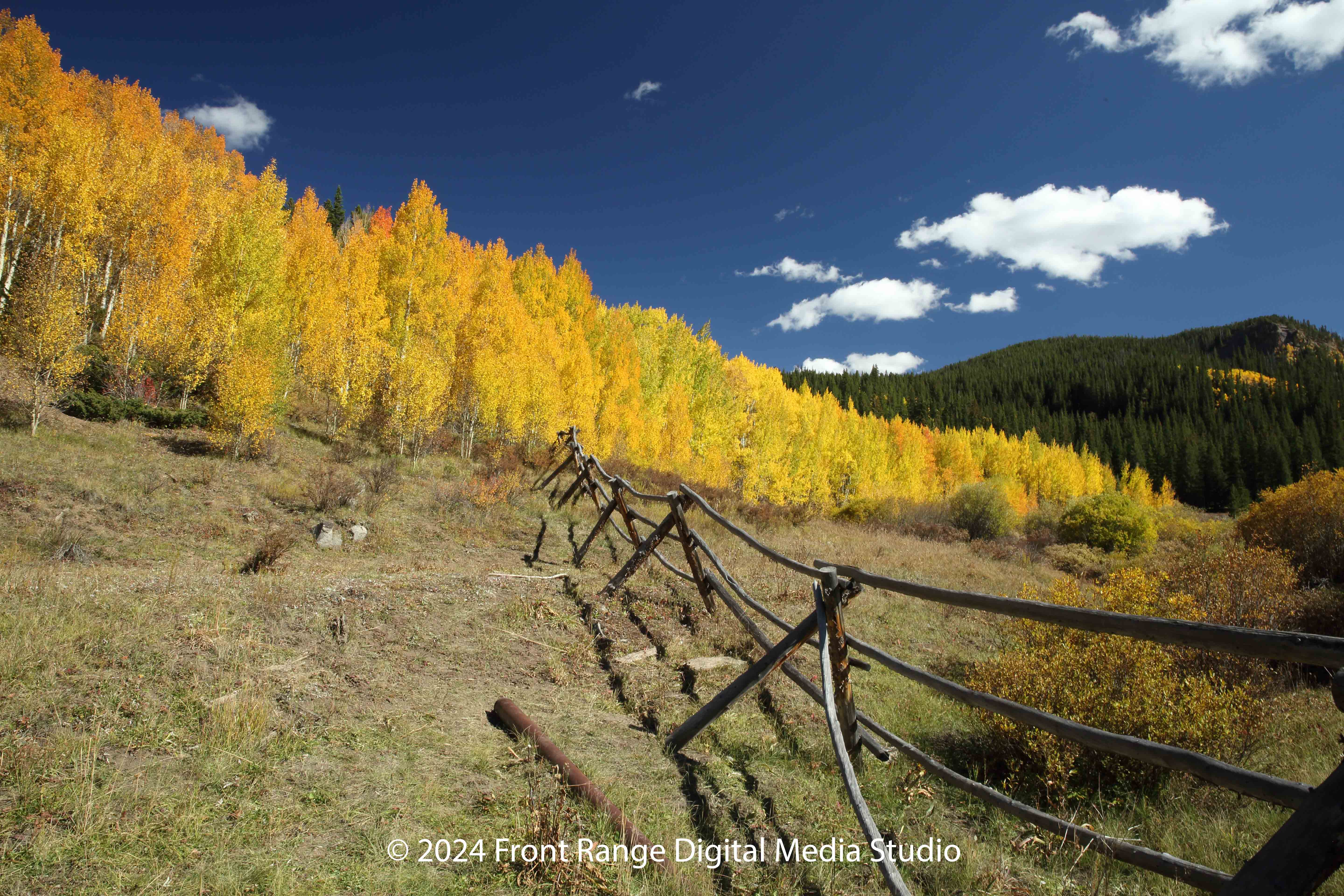 Autumn Fence in Breckenridge